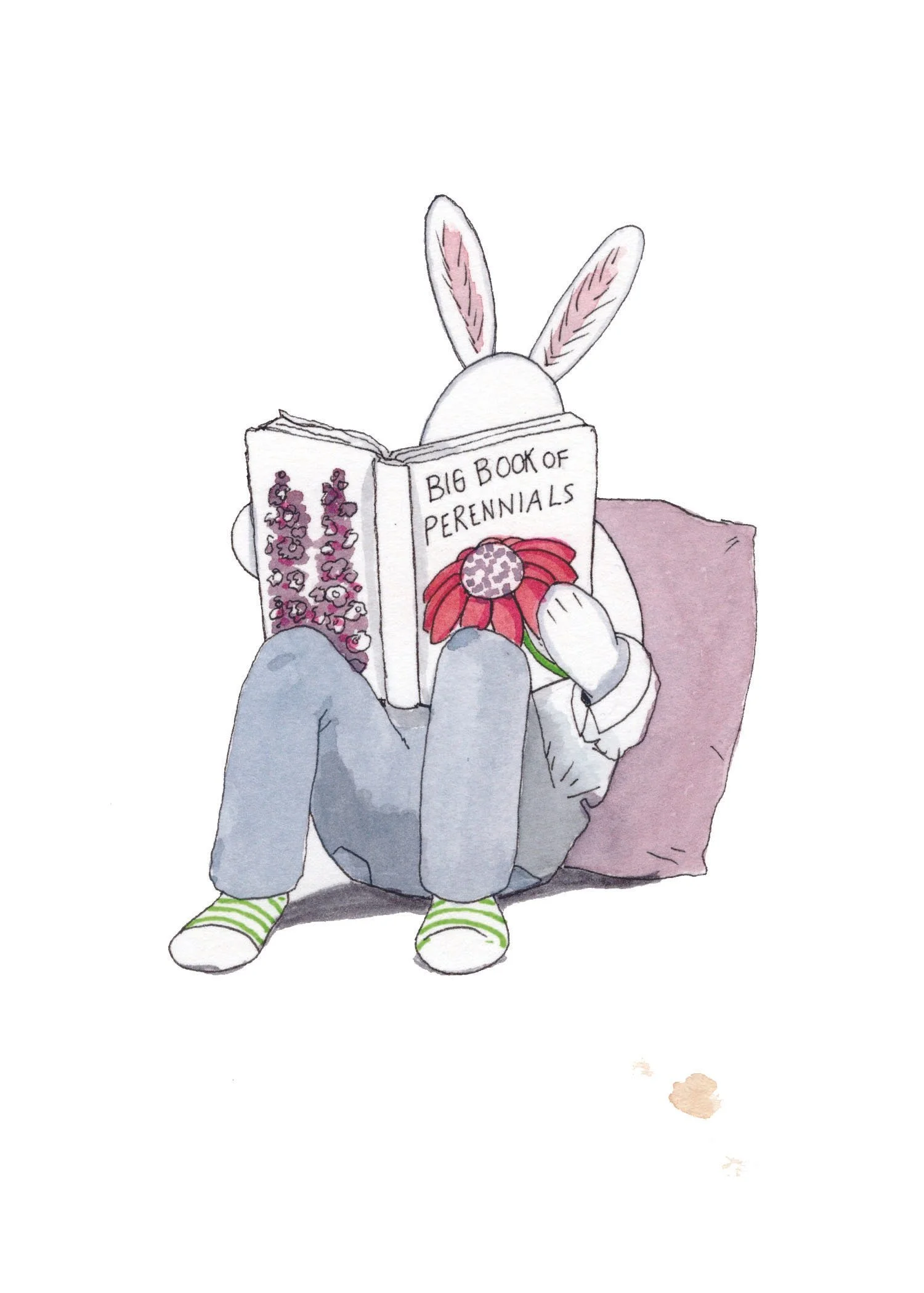 Rabbit Reading.jpg