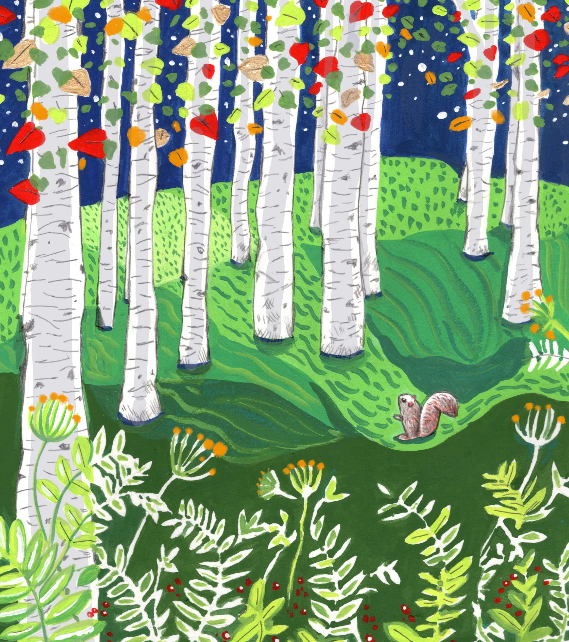 Squirrel in forest.jpg