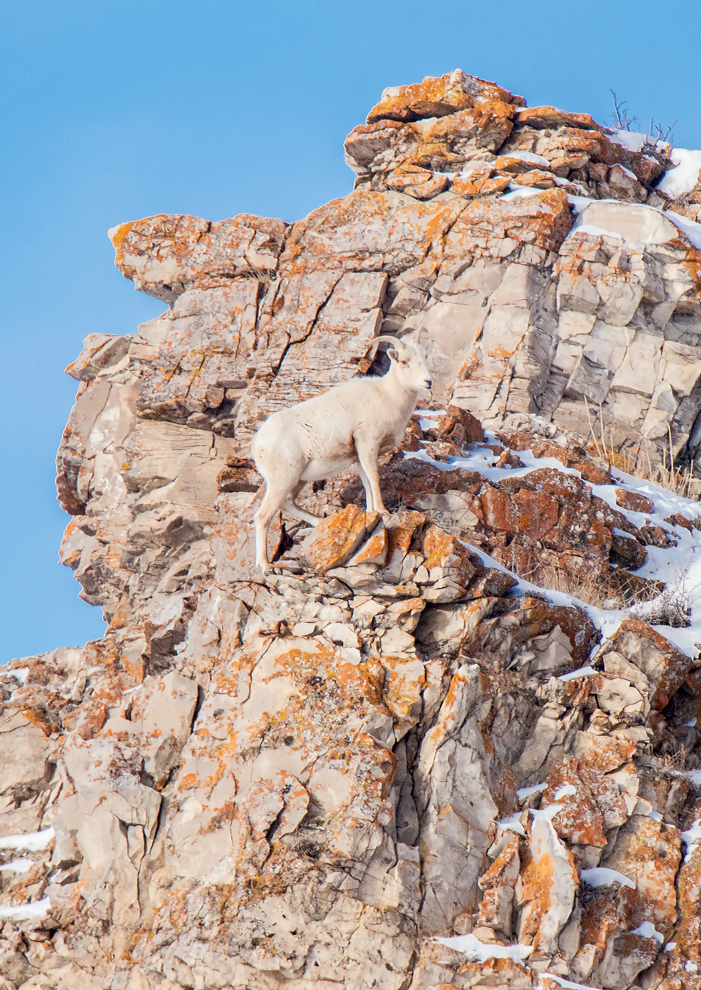 Rock climbing