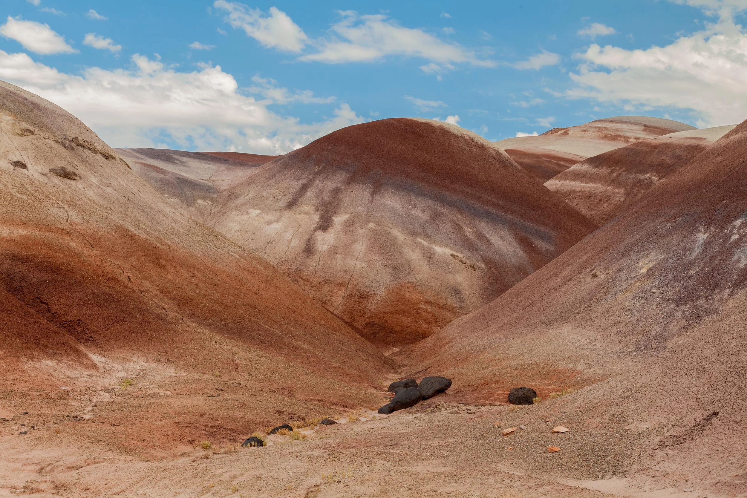 Bentonite Hills