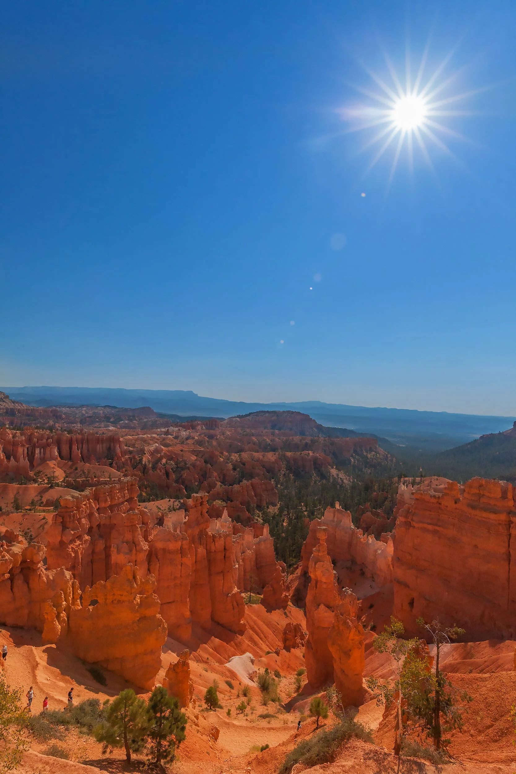 Bryce Canyon Starburst