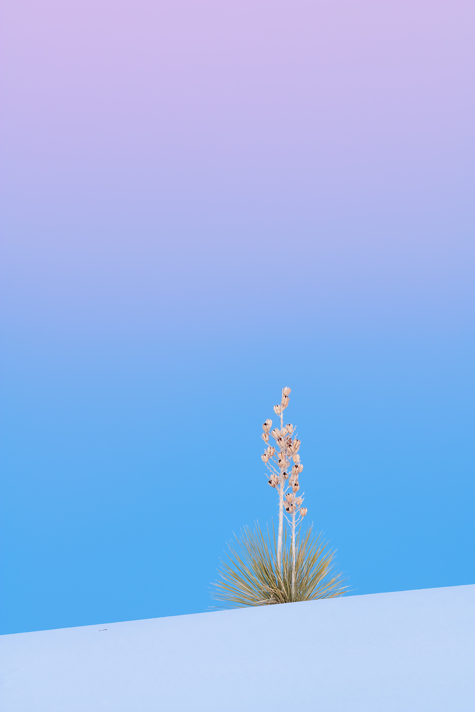 White Sands Dawn