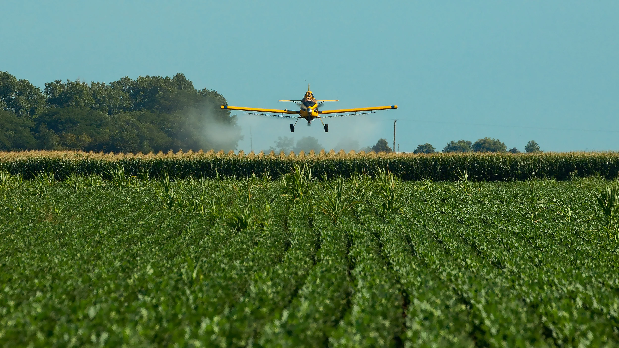 Crop Duster