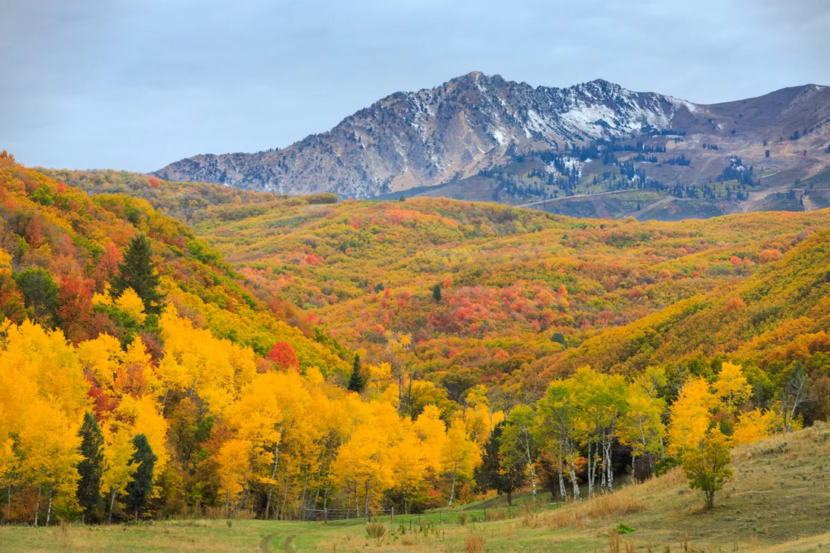 Autumn in the Wasatch Mountains