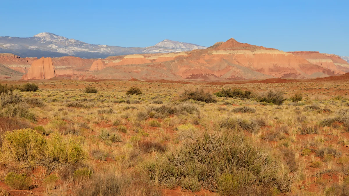 Cathedral Valley Road view