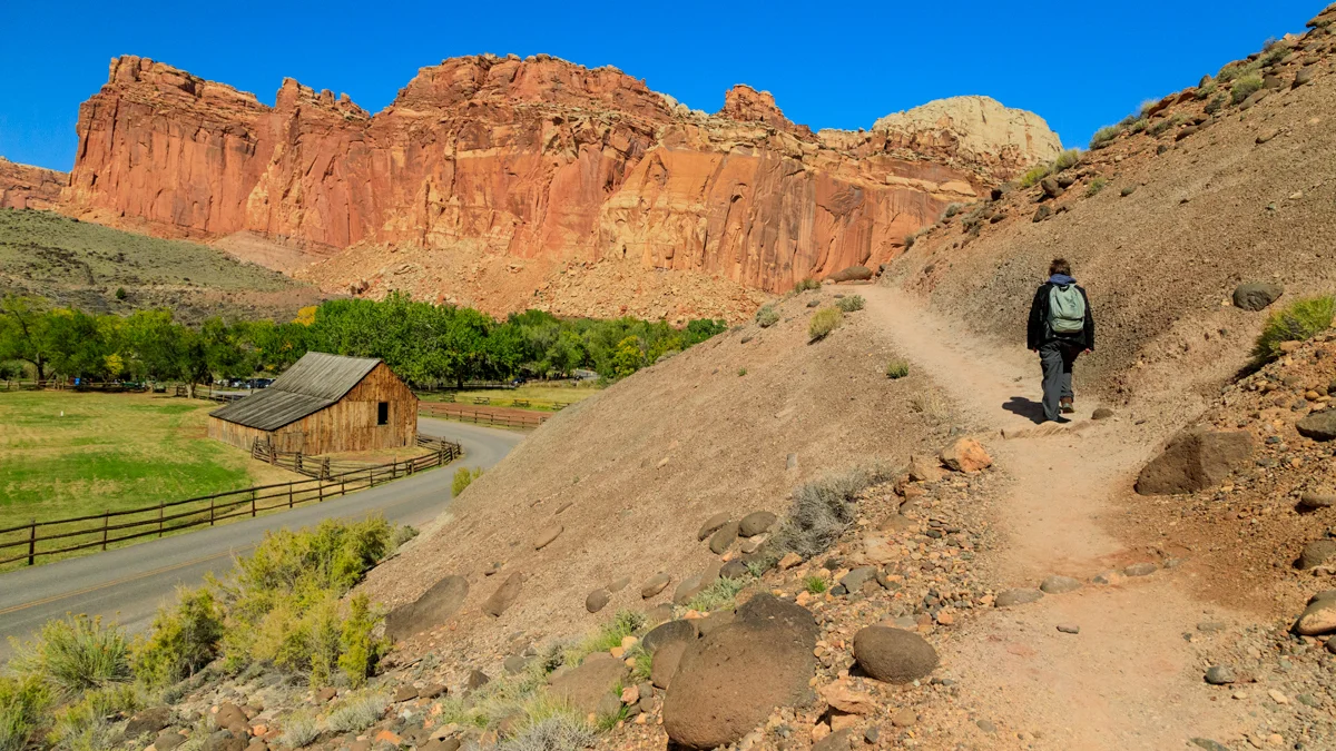 Cohab Canyon trail above Fruita
