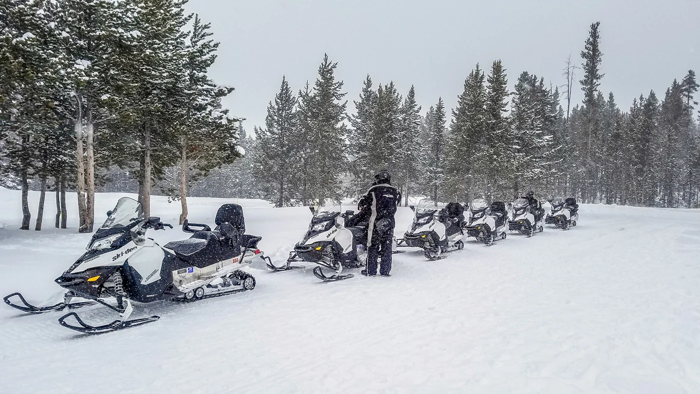 Snow sled line, Yellowstone