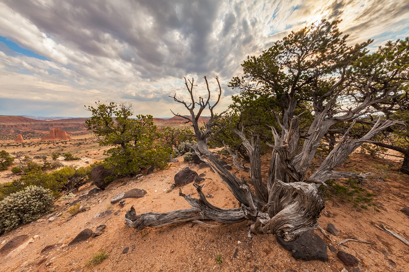 Cathedral Valley view