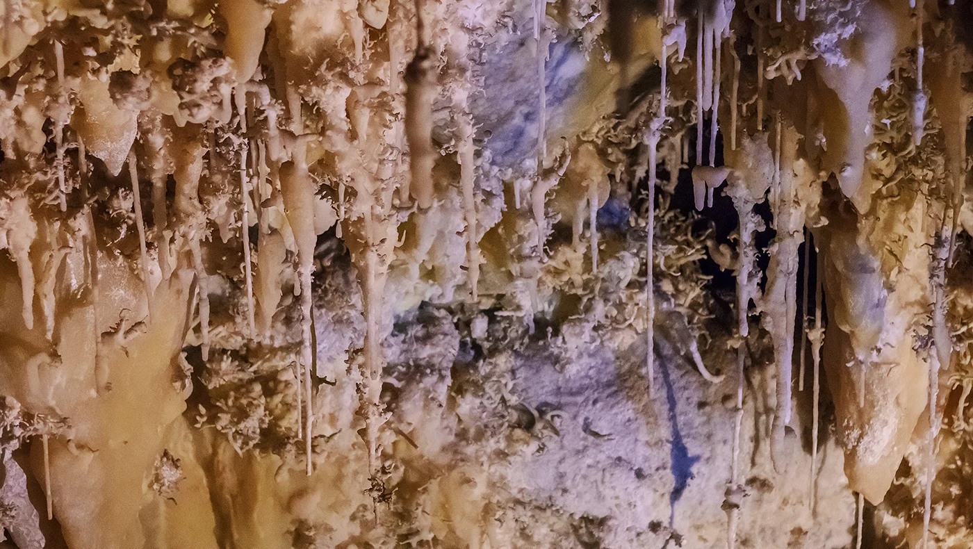 Helictites