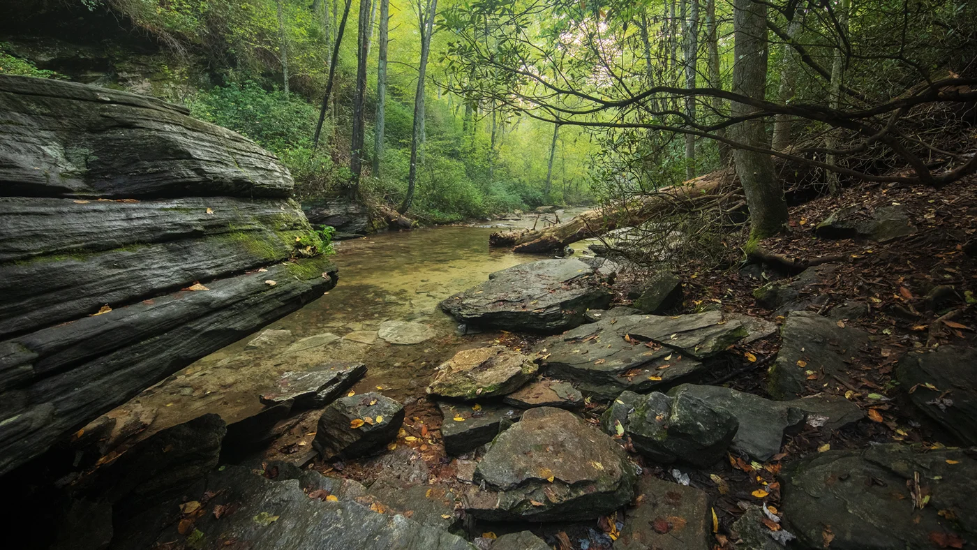 Looking Glass Creek, Pisgah National Forest