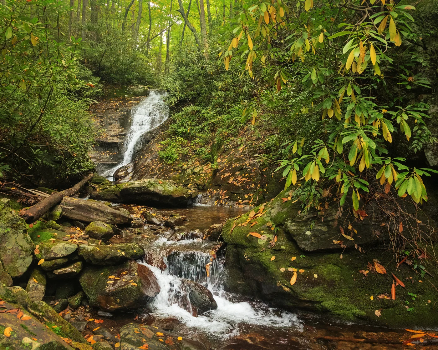 Chestnut Falls, Pisgah National Forest