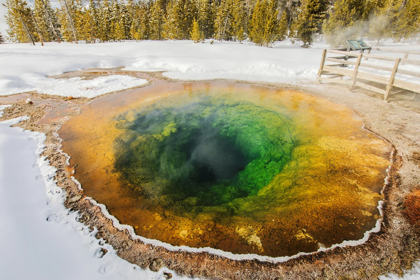 Morning Glory Spring, Yellowstone National Park, Wyoming