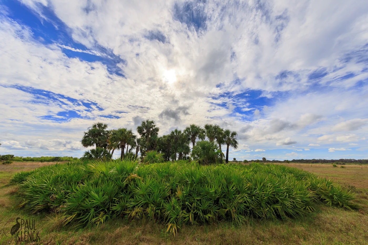 Moccasin Island Tract, River Lakes Conservation Area, Florida