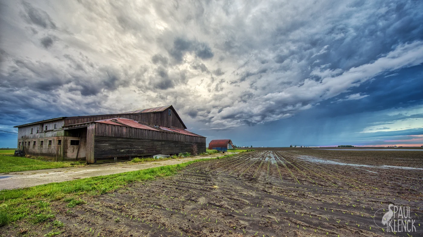 Gridley farm looking south