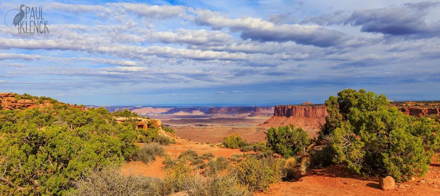 Grand View Point looking to the Green River