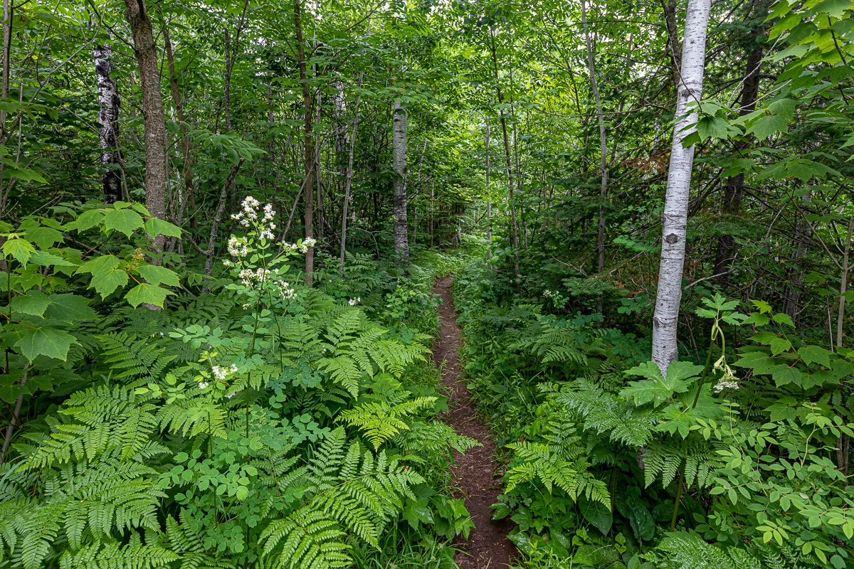 Superior hiking trail