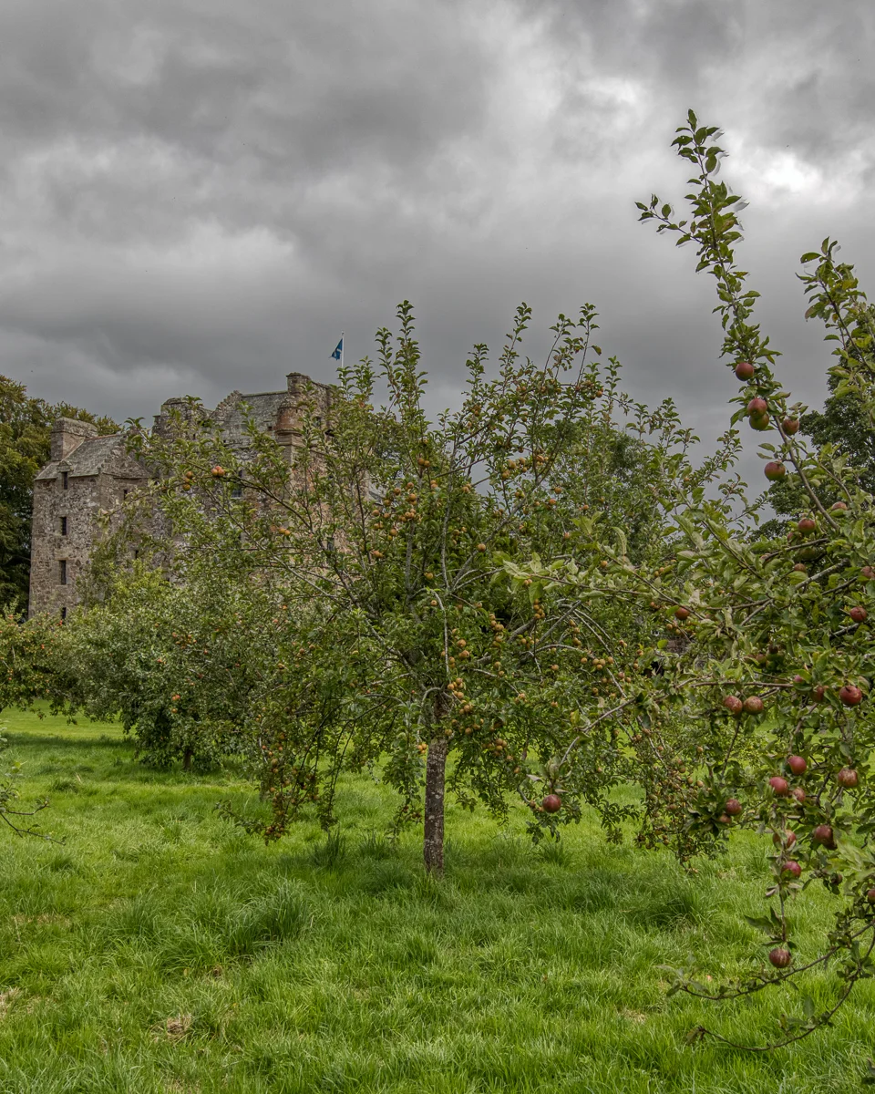 Orchard at Elcho castle
