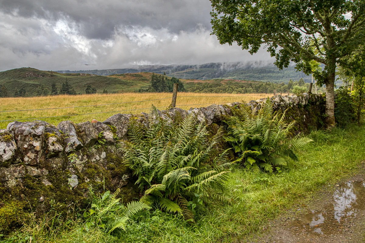 Lady falls wall-2.jpg