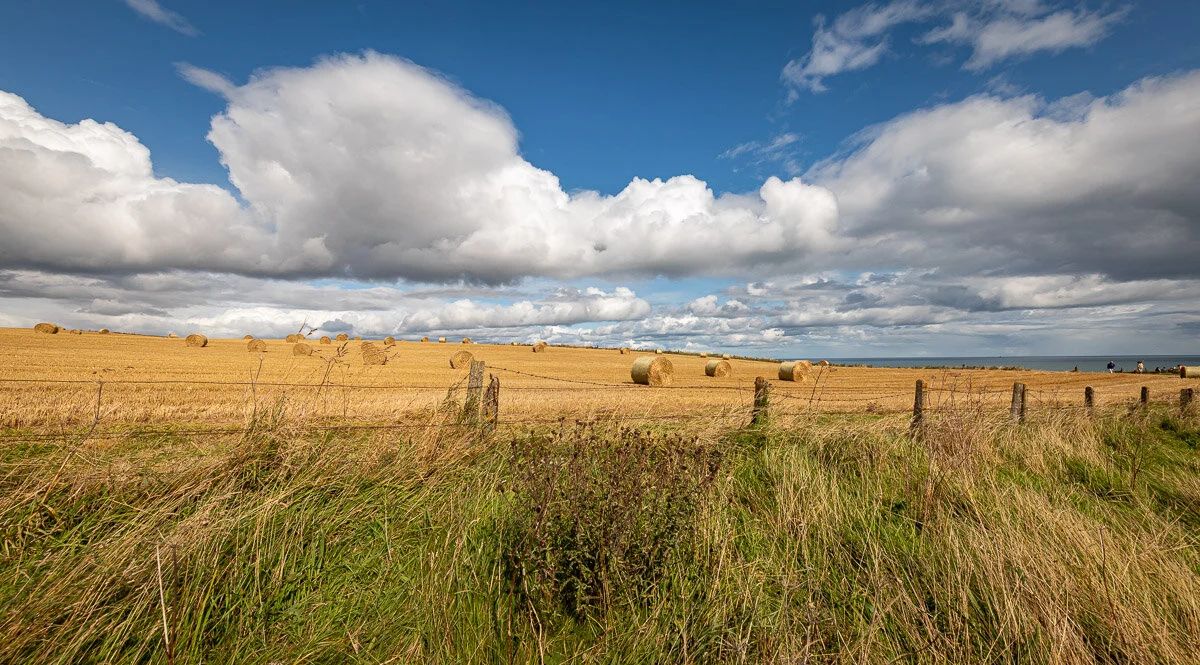 The Mearns