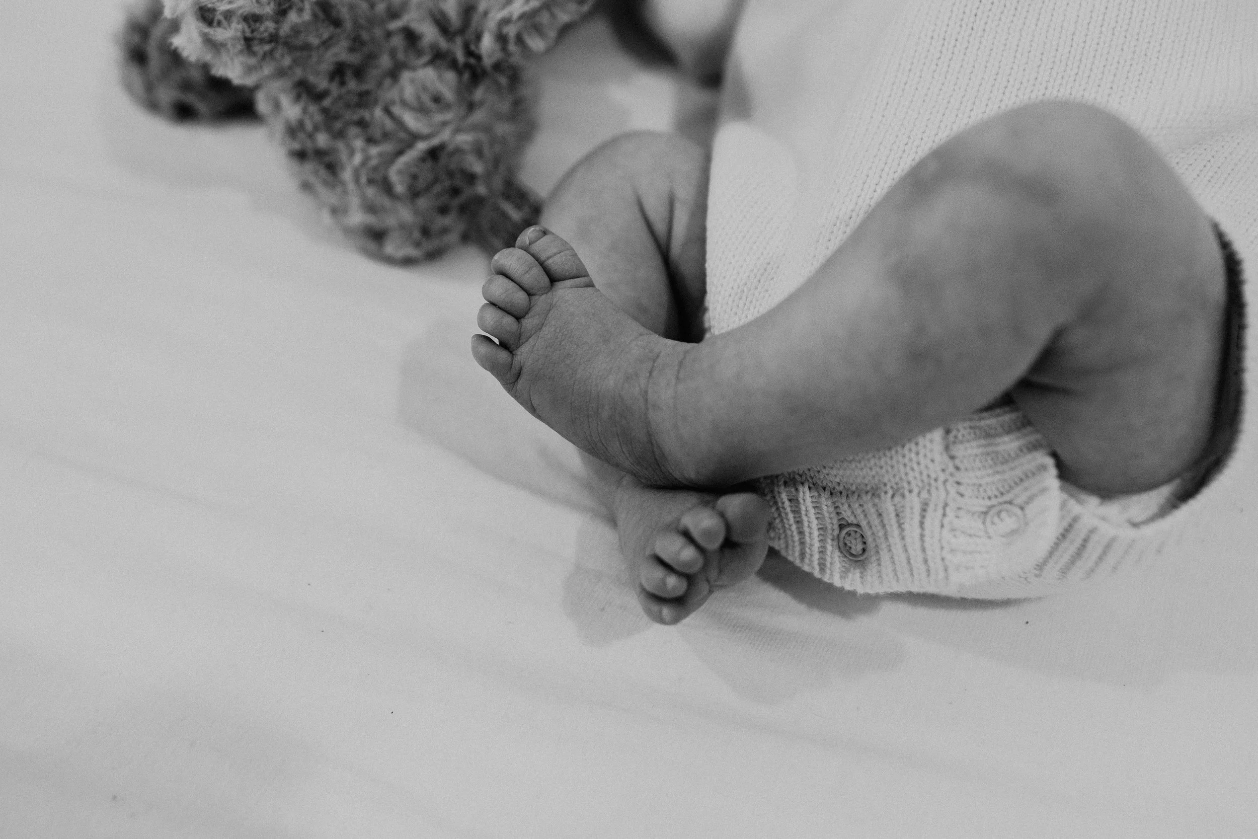 Rogers Party of 6-147.jpg