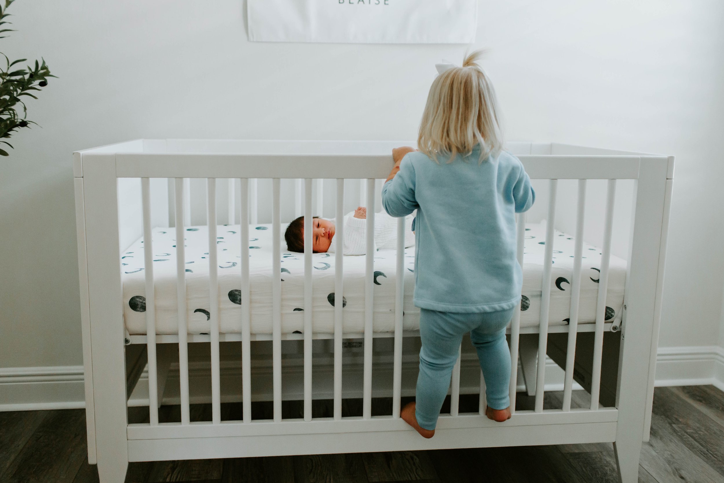 Linardich Newborn 2025-33.jpg