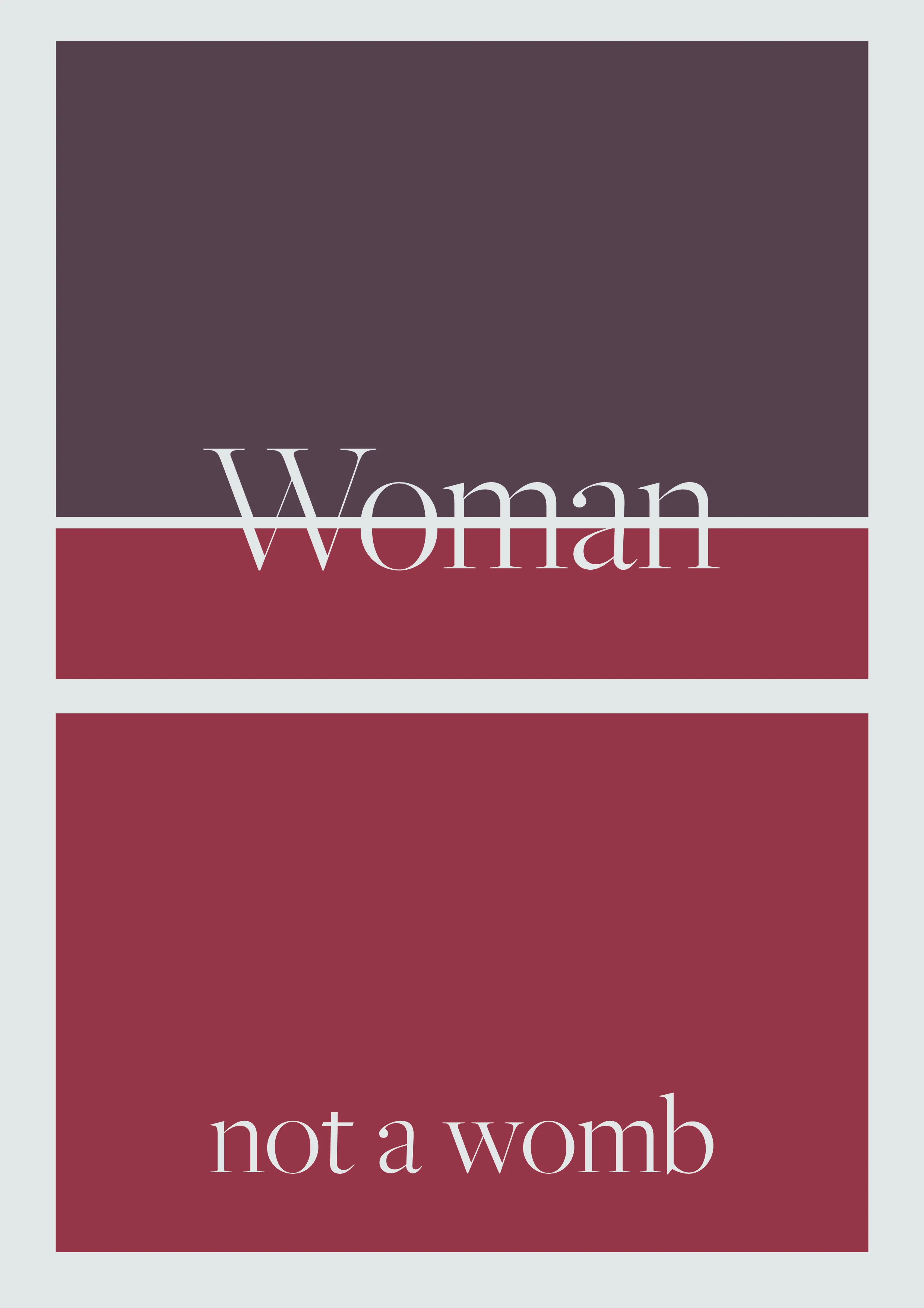 Woman Not A Womb A44.jpg