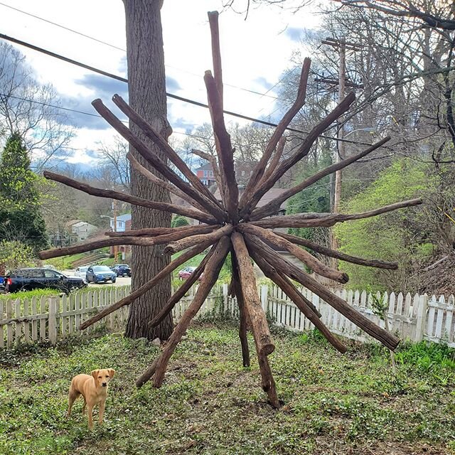 My front yards got the Corona... 😂 probably the Postballs home for awhile.  It's nice to have the posts to grandpas cattle corral in the front yard.