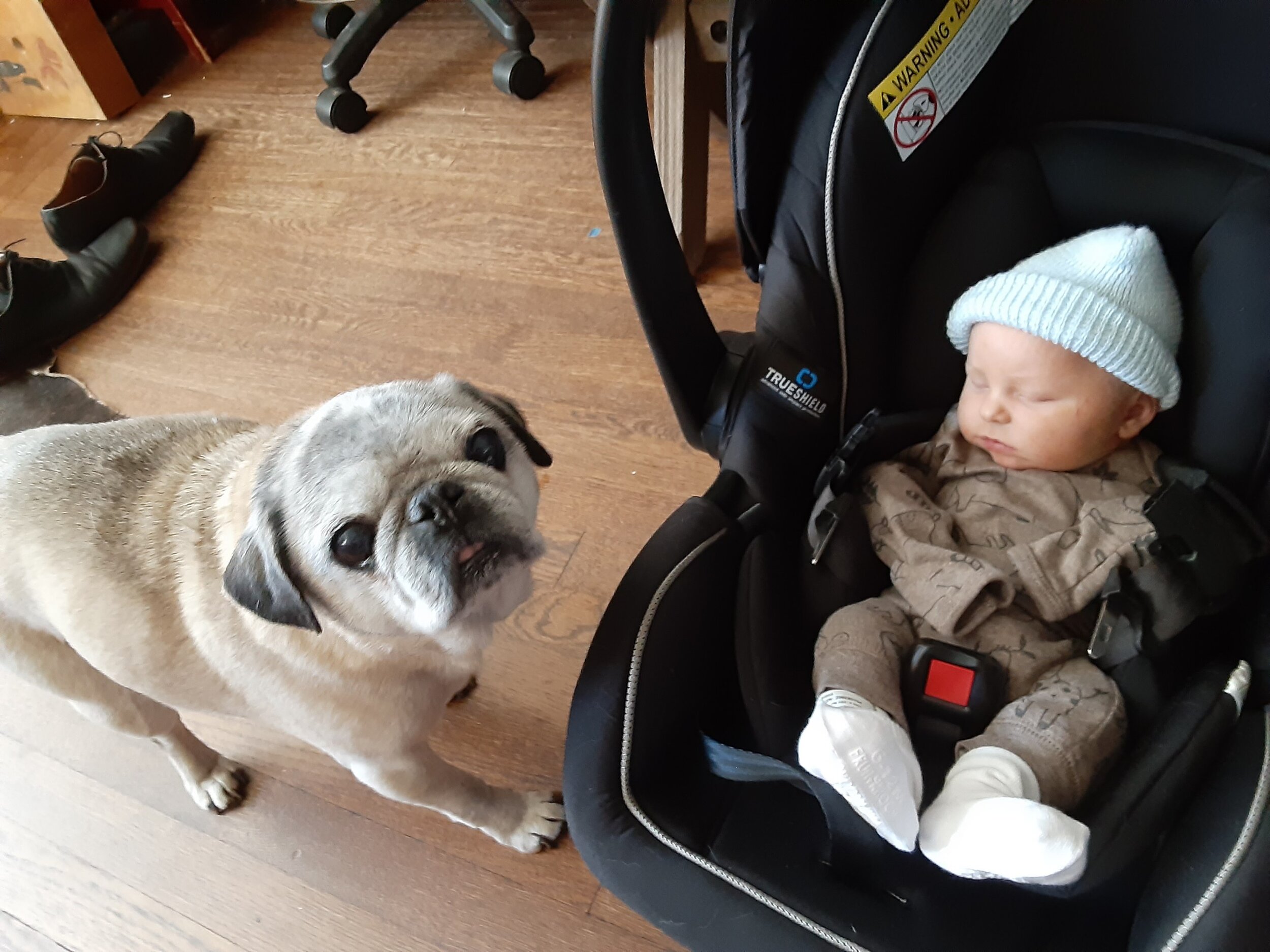 Kevin Chapin — K. H. Chapin Fine Violins LLC