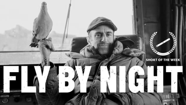 FLY BY NIGHT