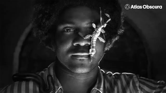 Bug Love | Atlas Obscura