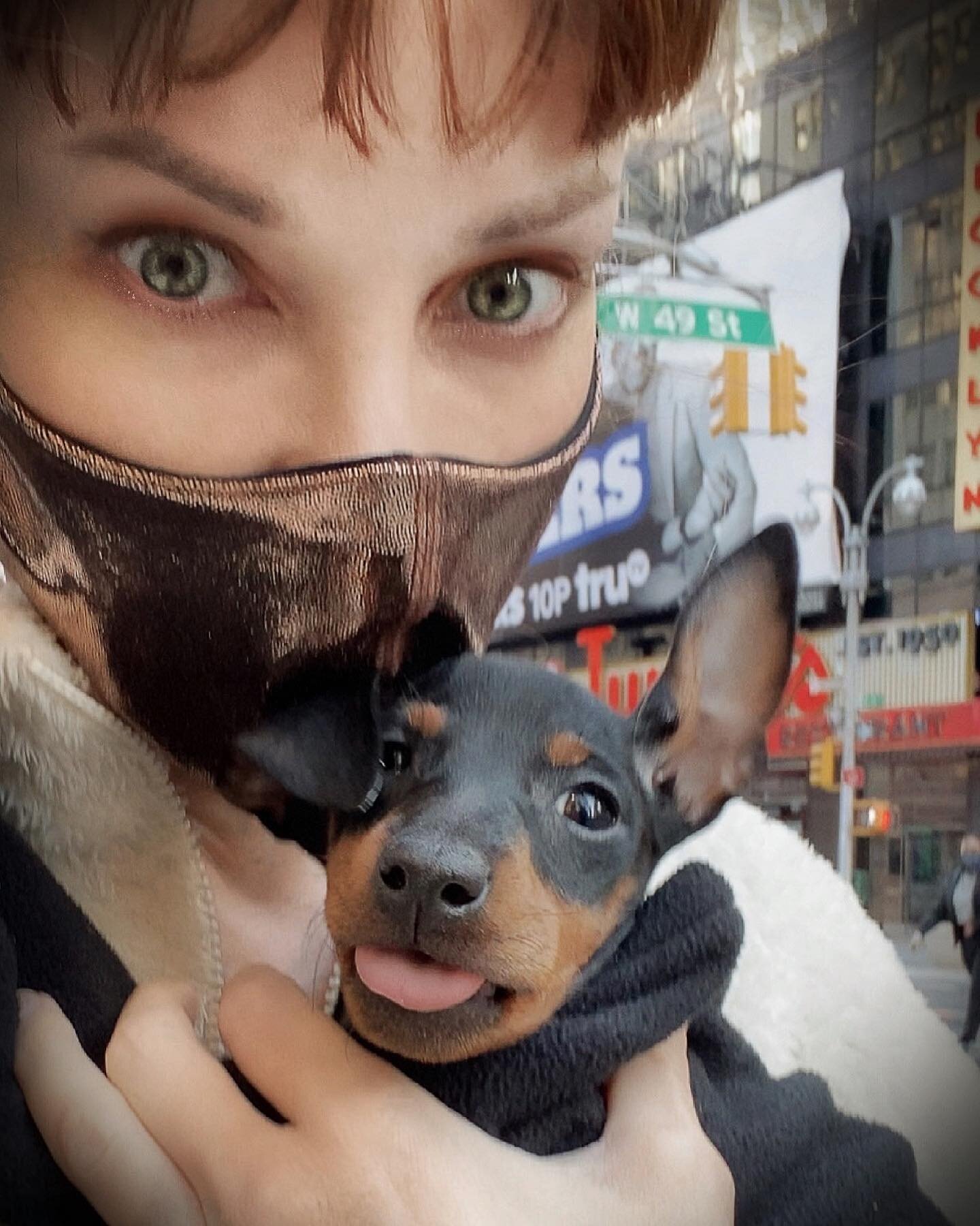 It&rsquo;s Darjeeling&rsquo;s first visit to her literal backyard aka Times Square, and this is what she has to say about it. I thought she&rsquo;d be more impressed...

~W14A🥄

#darjeelingthetoymanchesterterrier #inmatew14d #littlerat