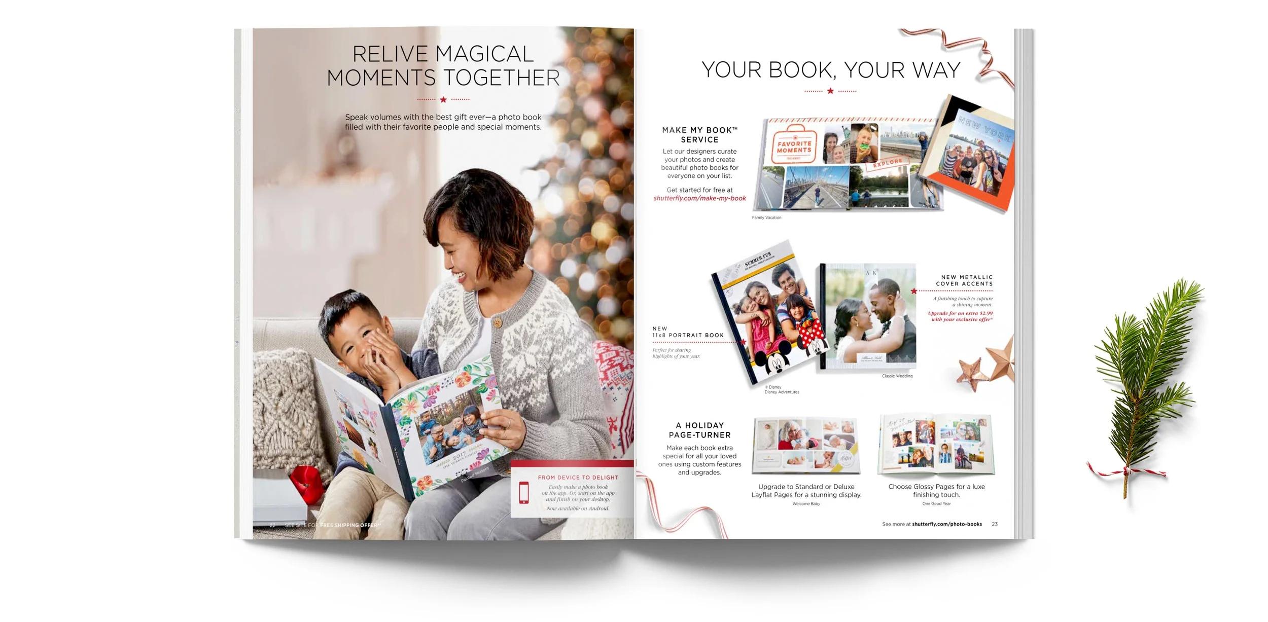 sfly_catalog_4.jpg