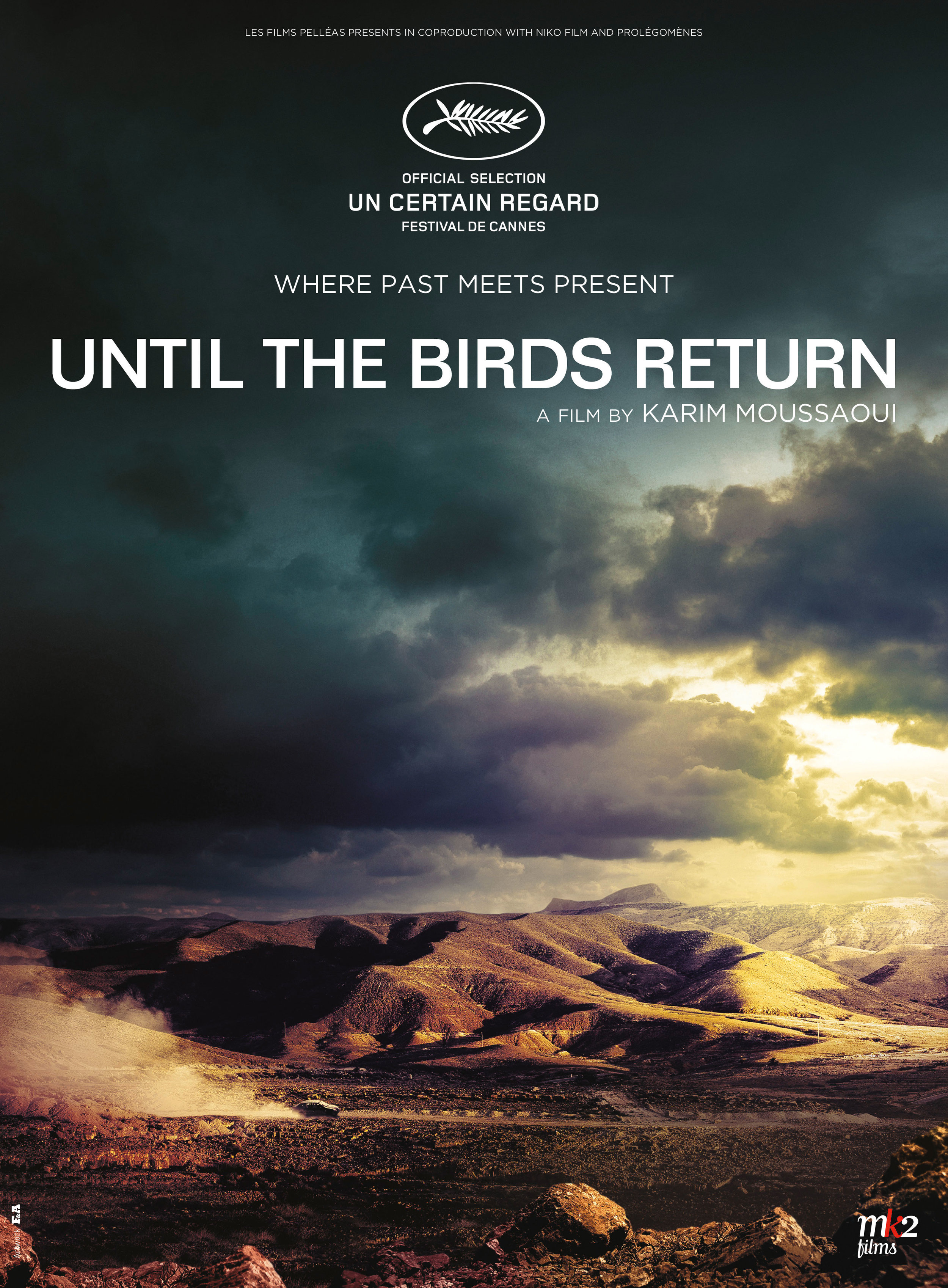until_the_birds_return_poster.jpg