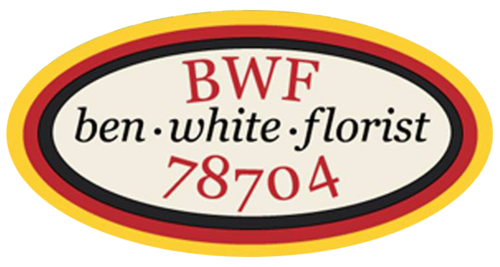 bwf-logo.png