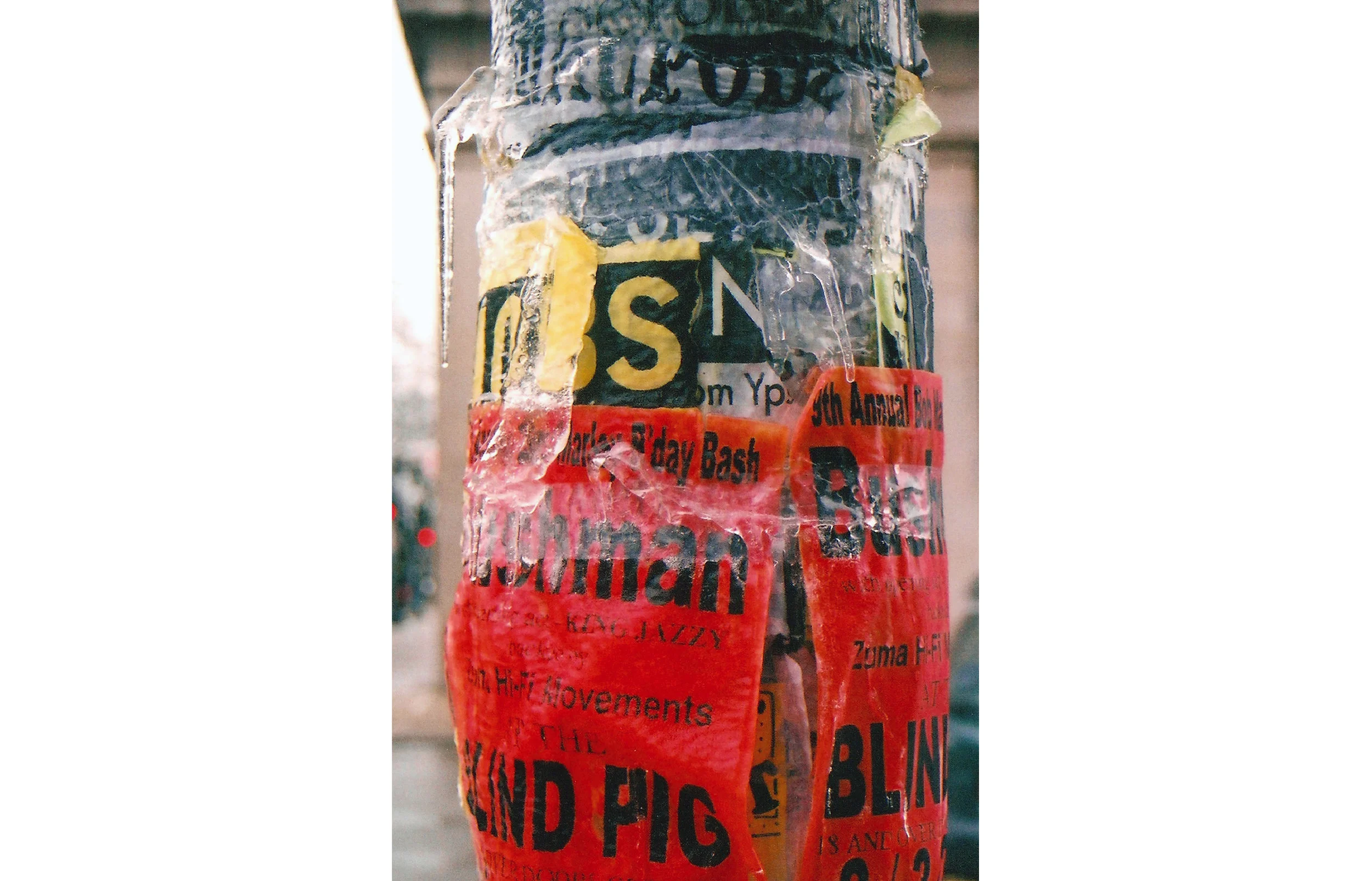 Frozen Blind Pig