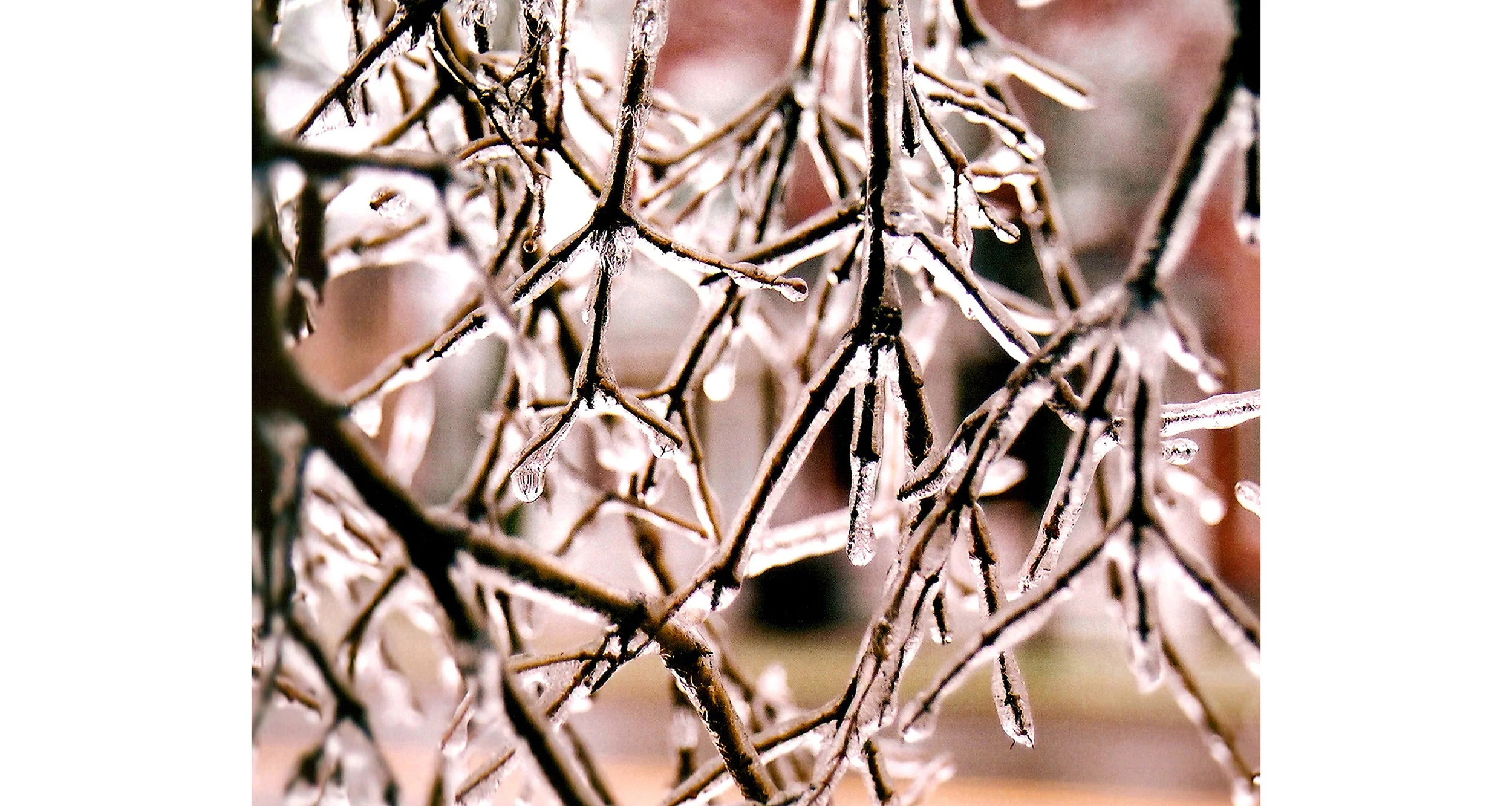 Frost