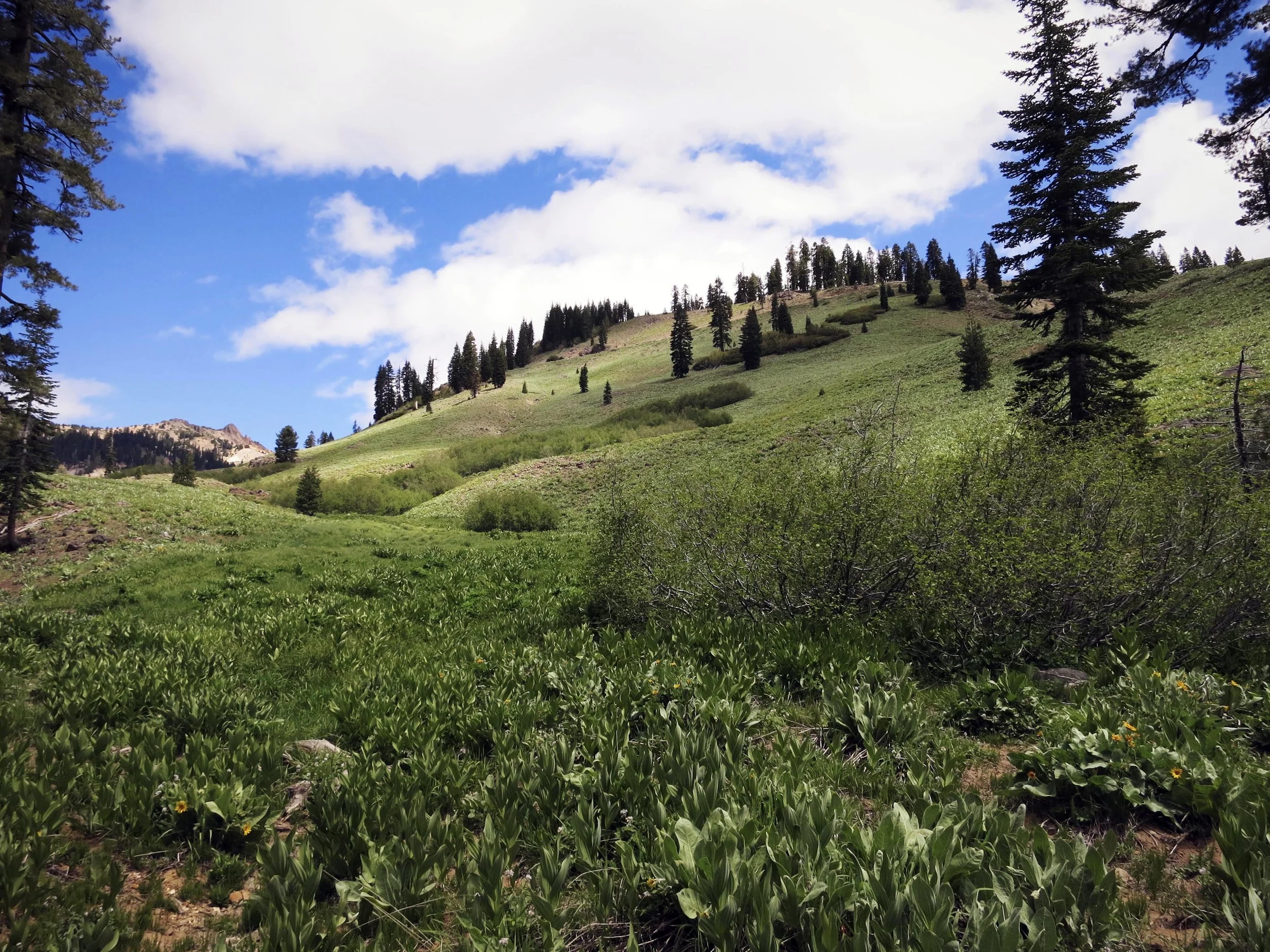Mill Creek Falls Trail, Lassen National Park