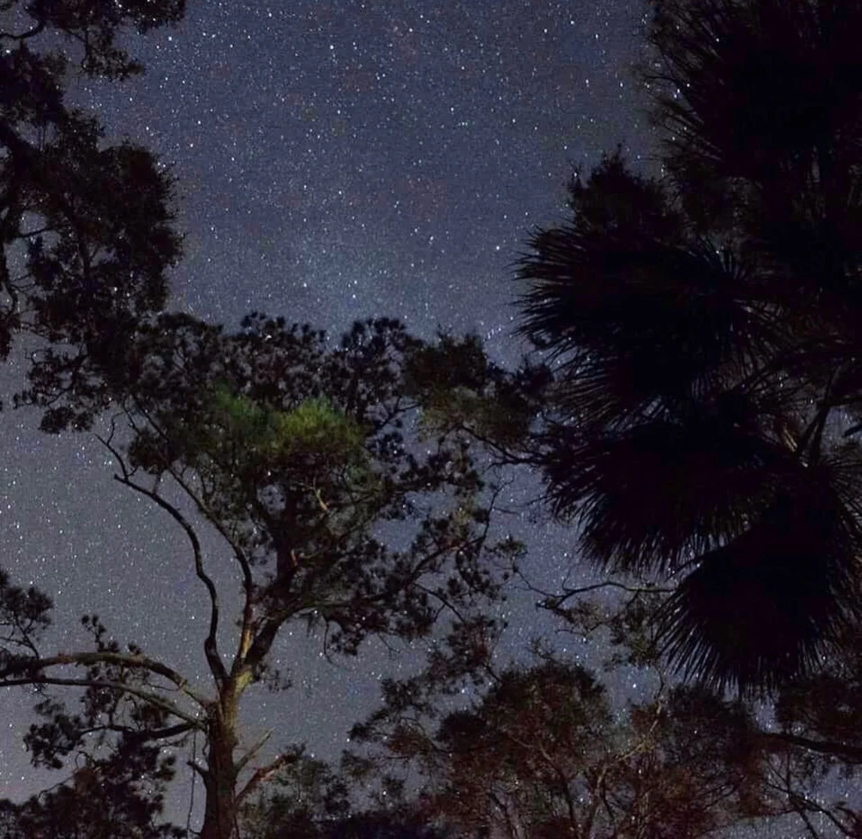 The Art of Disagreement 