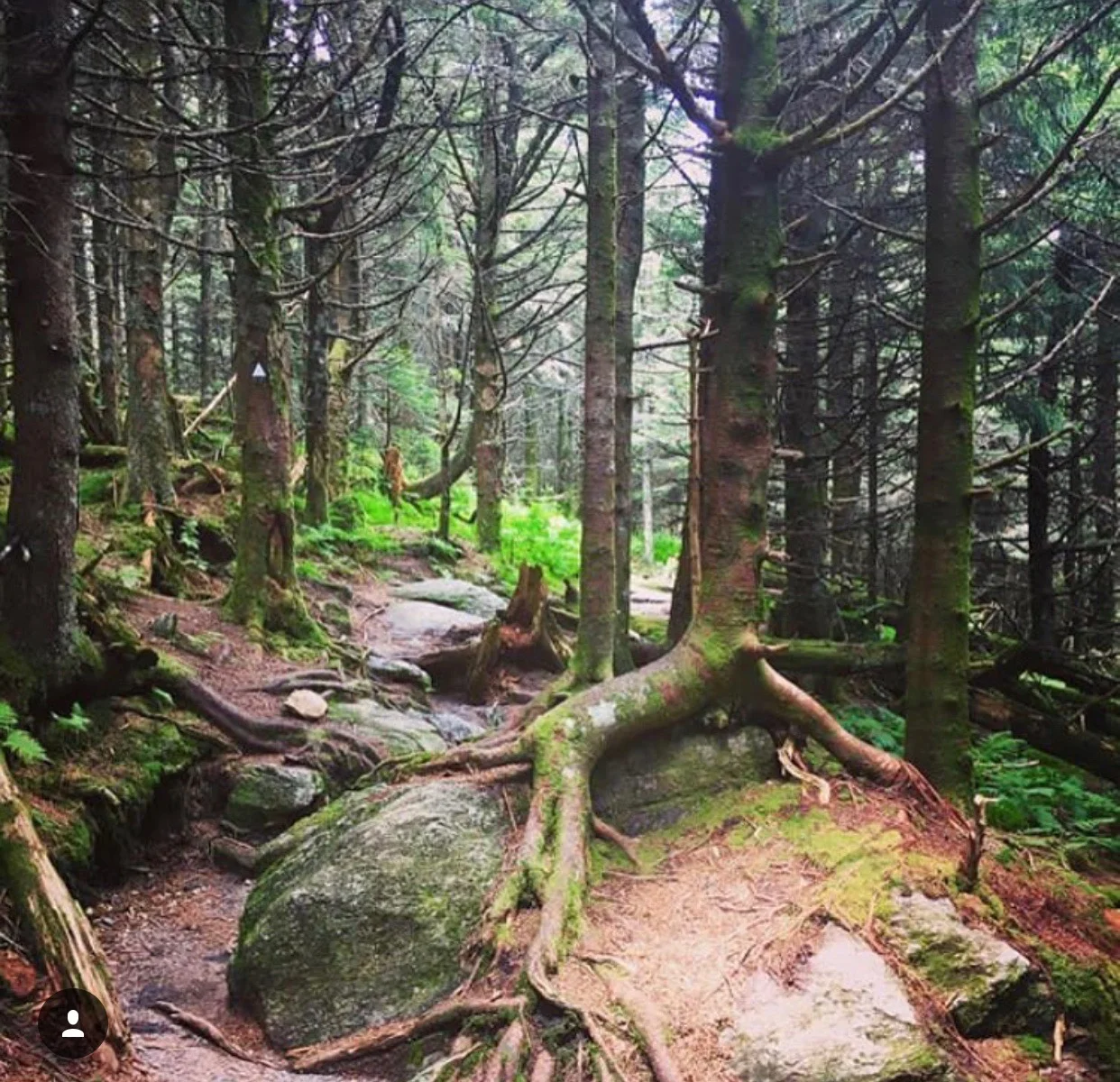 GET SOME R&amp;R: The Importance of Proper Sleep Habits