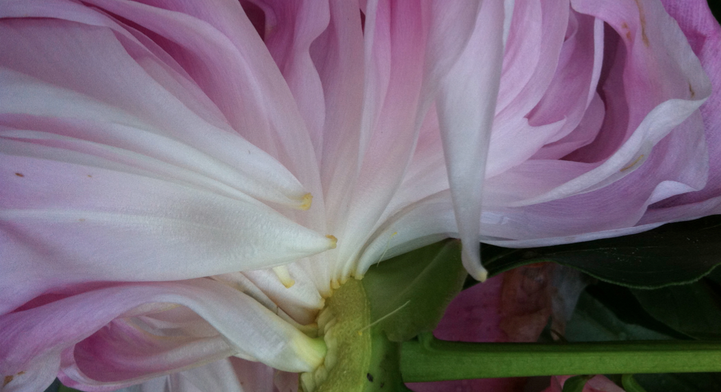 Screen shot 2014-02-03 at 5.21.34 PM.png