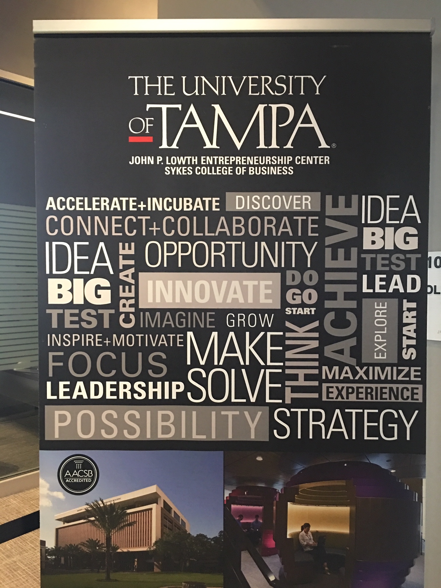Tampa-Business.JPG