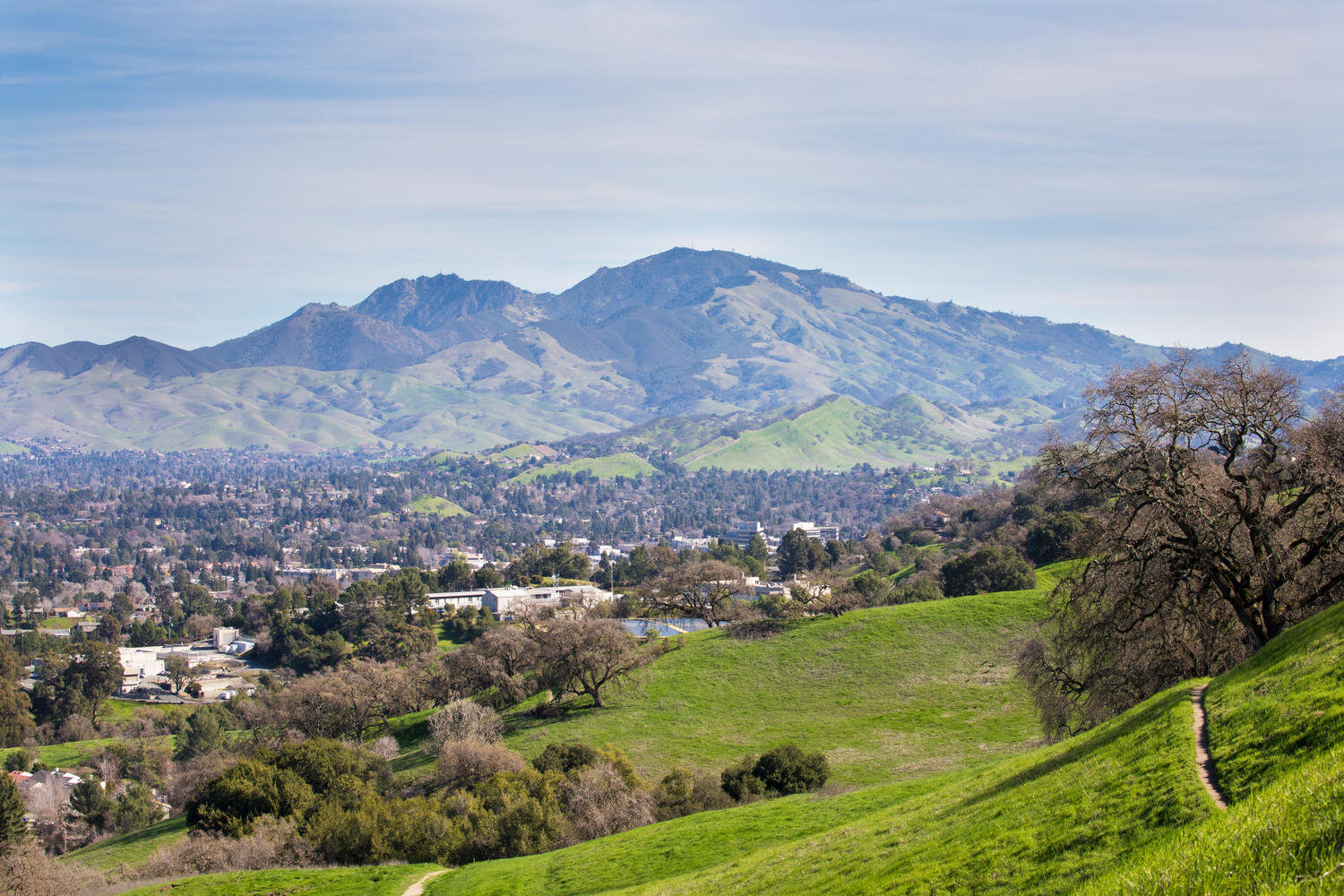 My home: Pleasant Hill, CA