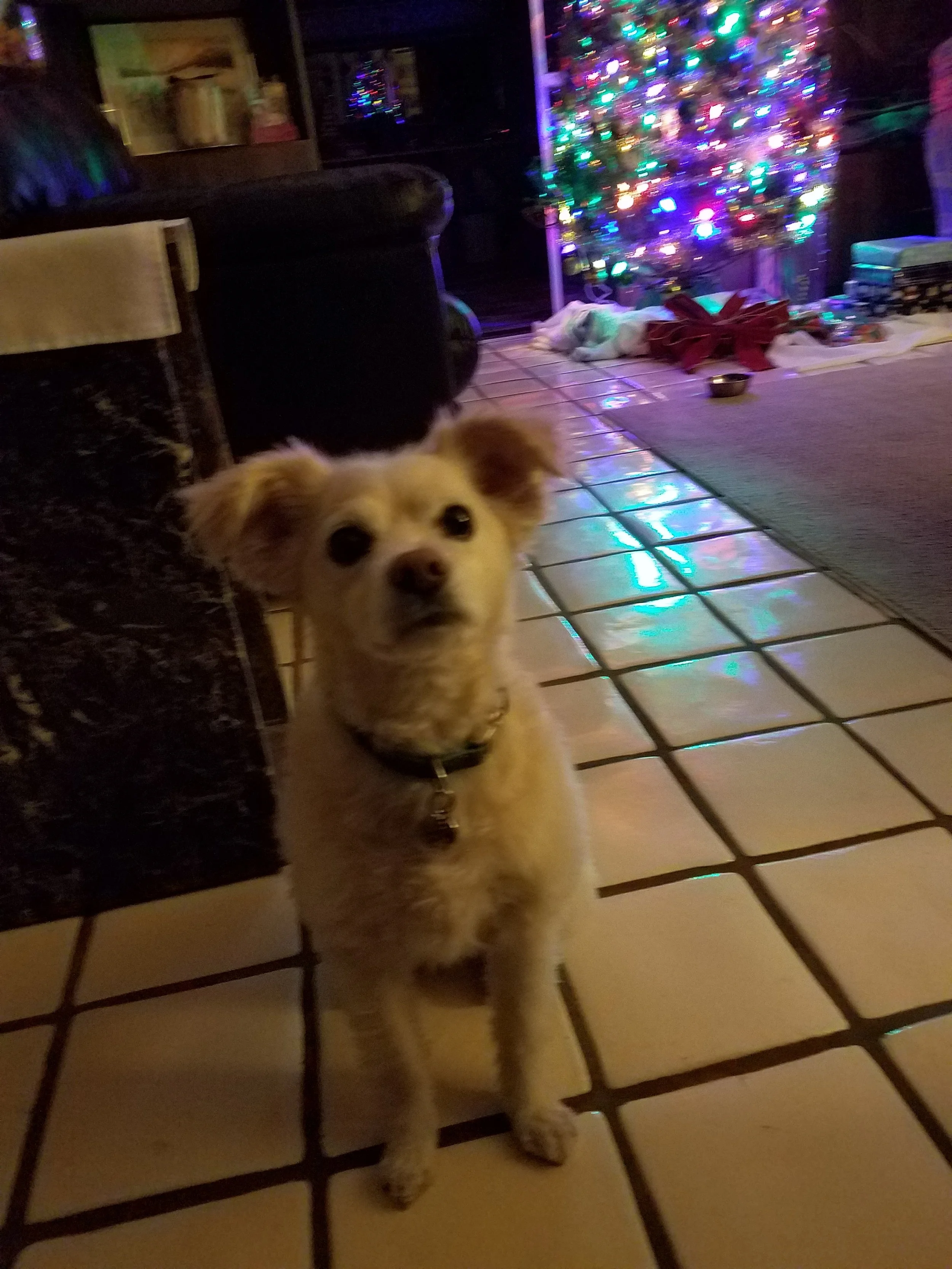 20161227_210016.jpg