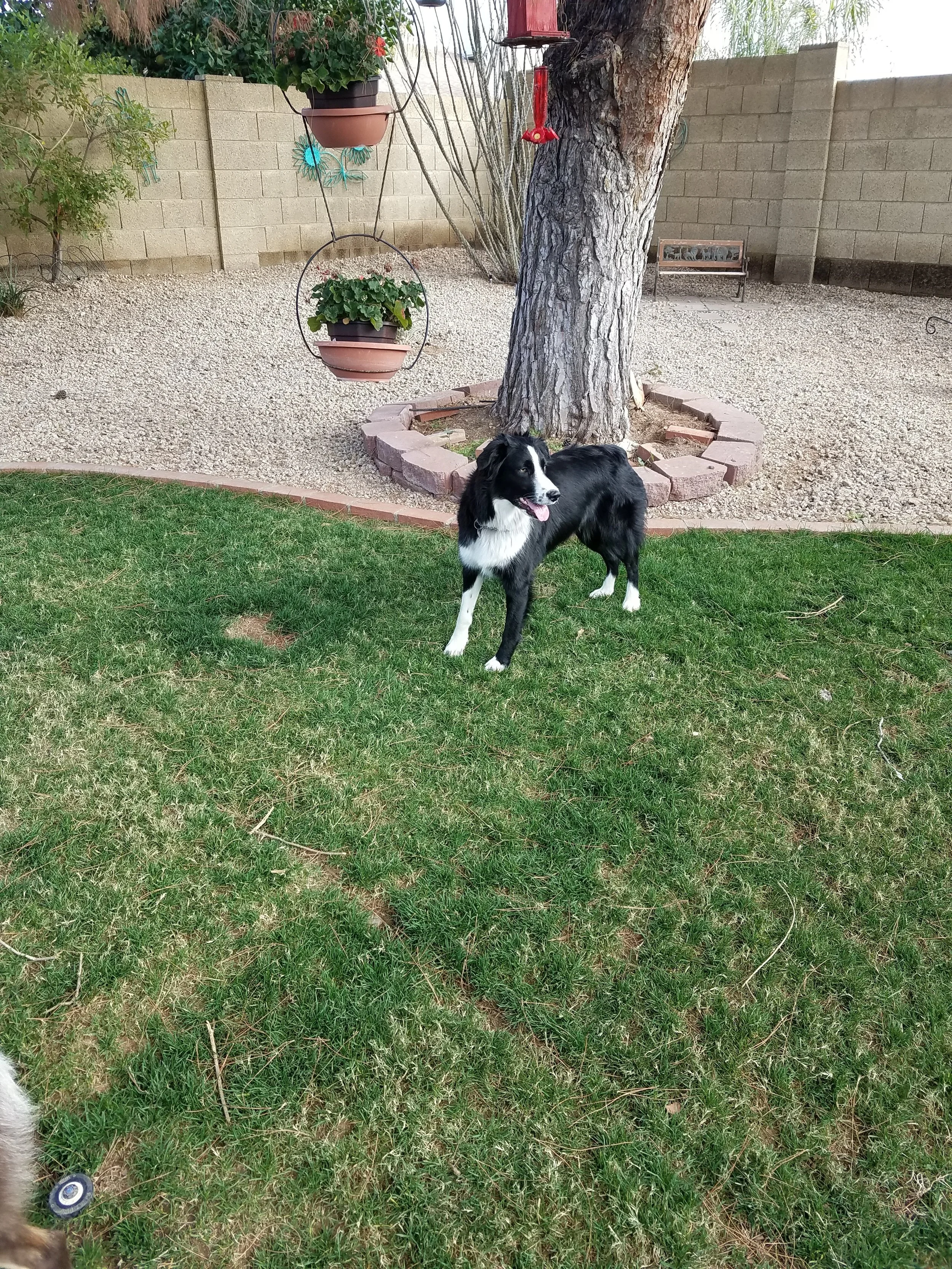 20170110_103240.jpg
