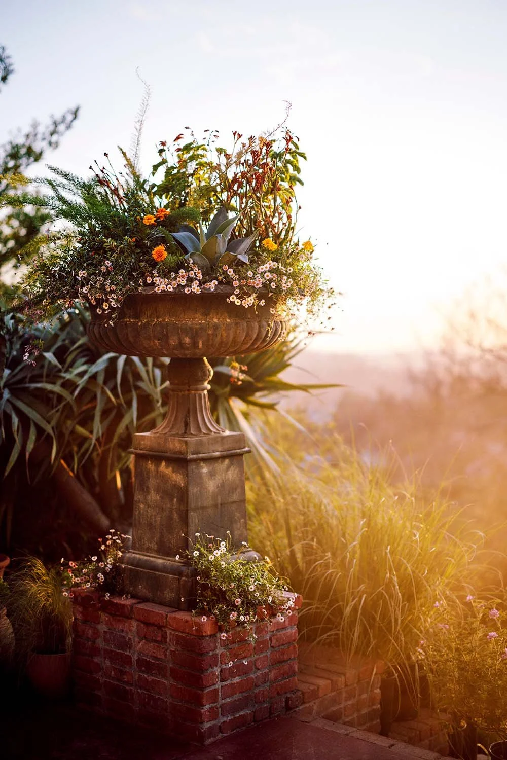 TER25_SUM1_URN_SHOT_08_257_MM.Hi-Res-JPG.jpg