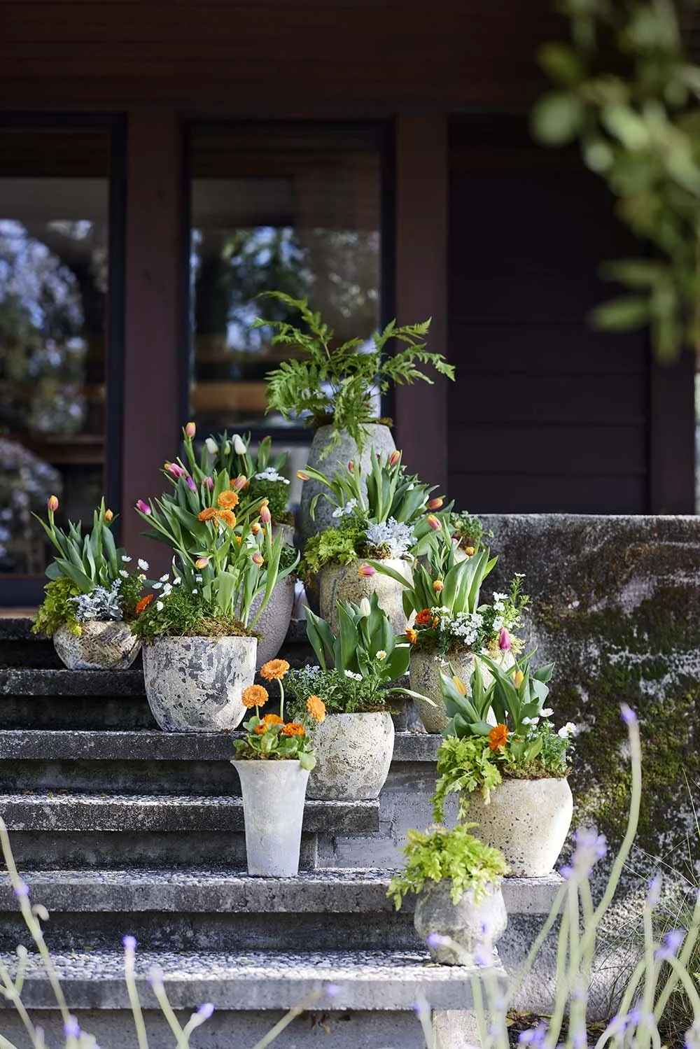 TERJAN25_SPRING2_BARNACLE_PLANTER_194_HERO 1_DP_Select.jpg