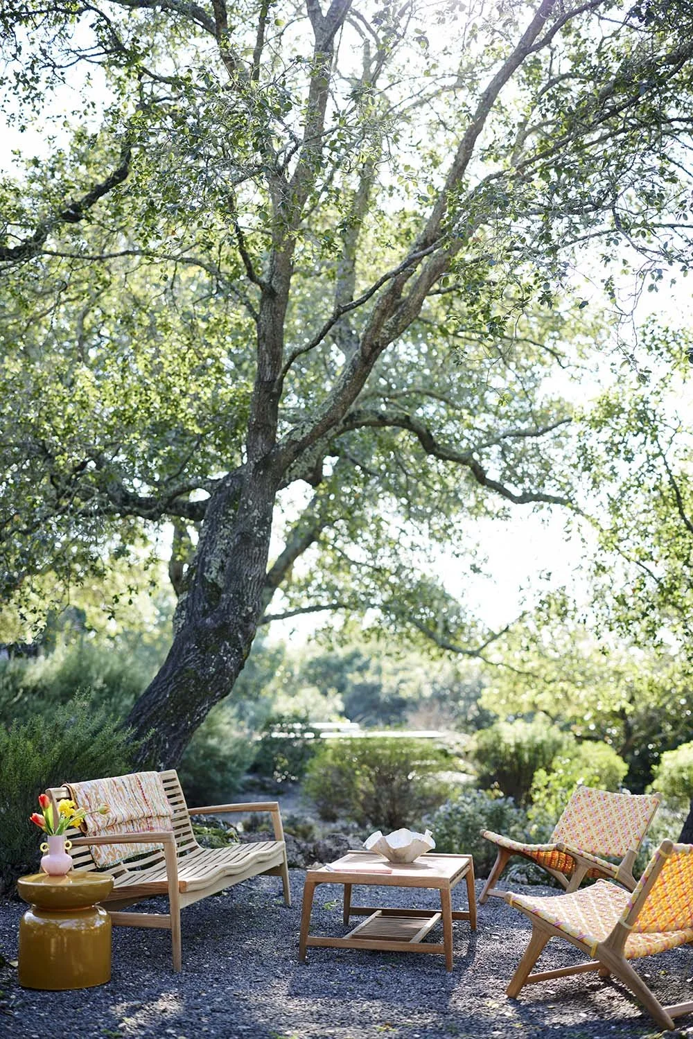 TERJAN25_SPRING2_MESA_214_HERO 1_DP_Select.jpg