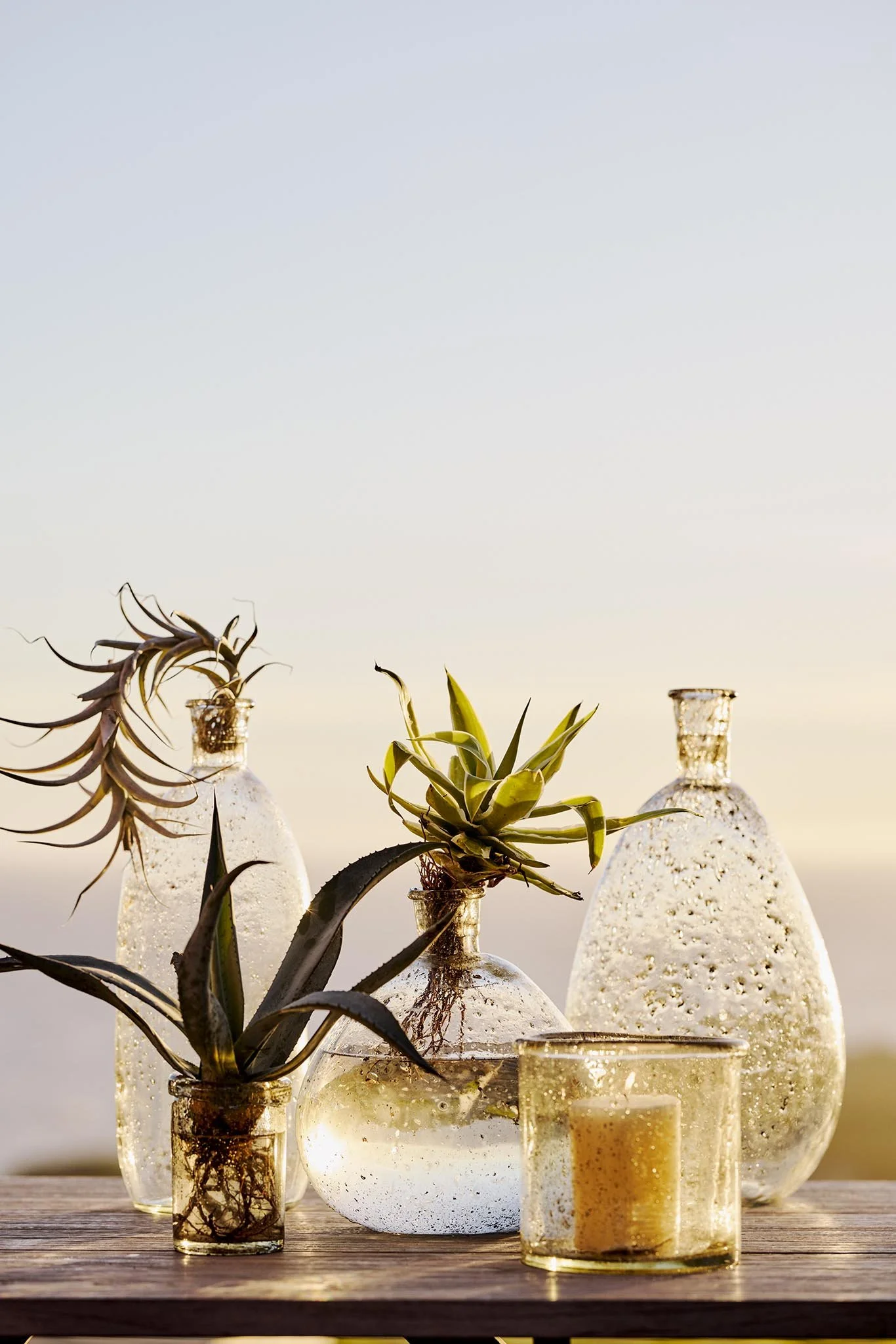 TERMAR26_Summer1_SunsetDining_1009_DETAIL-2048x2048.jpeg