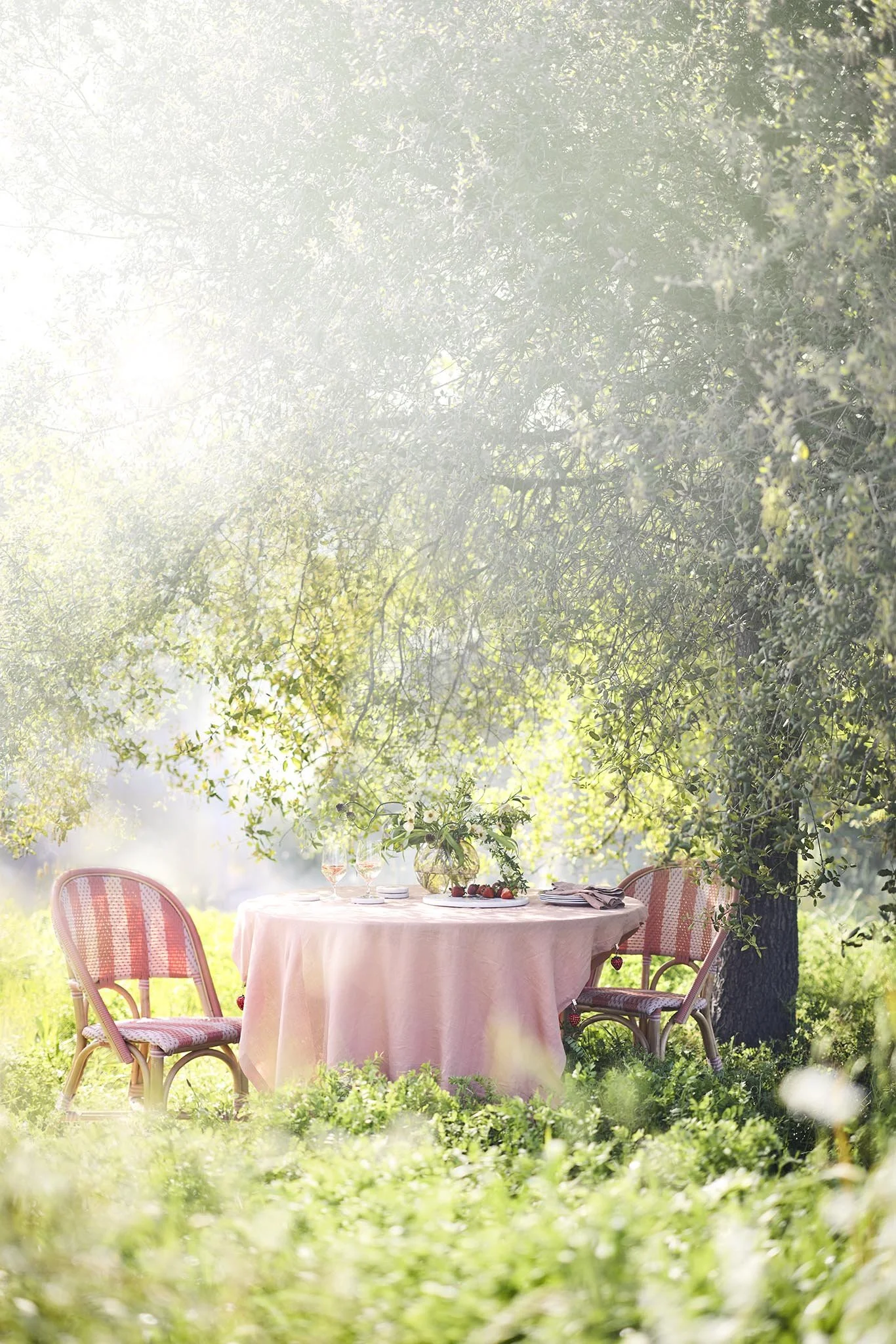 TERMAR26_SUMMER2_STRAWBERRY_TABLETOP_070_DP_Select-2048x2048.jpeg