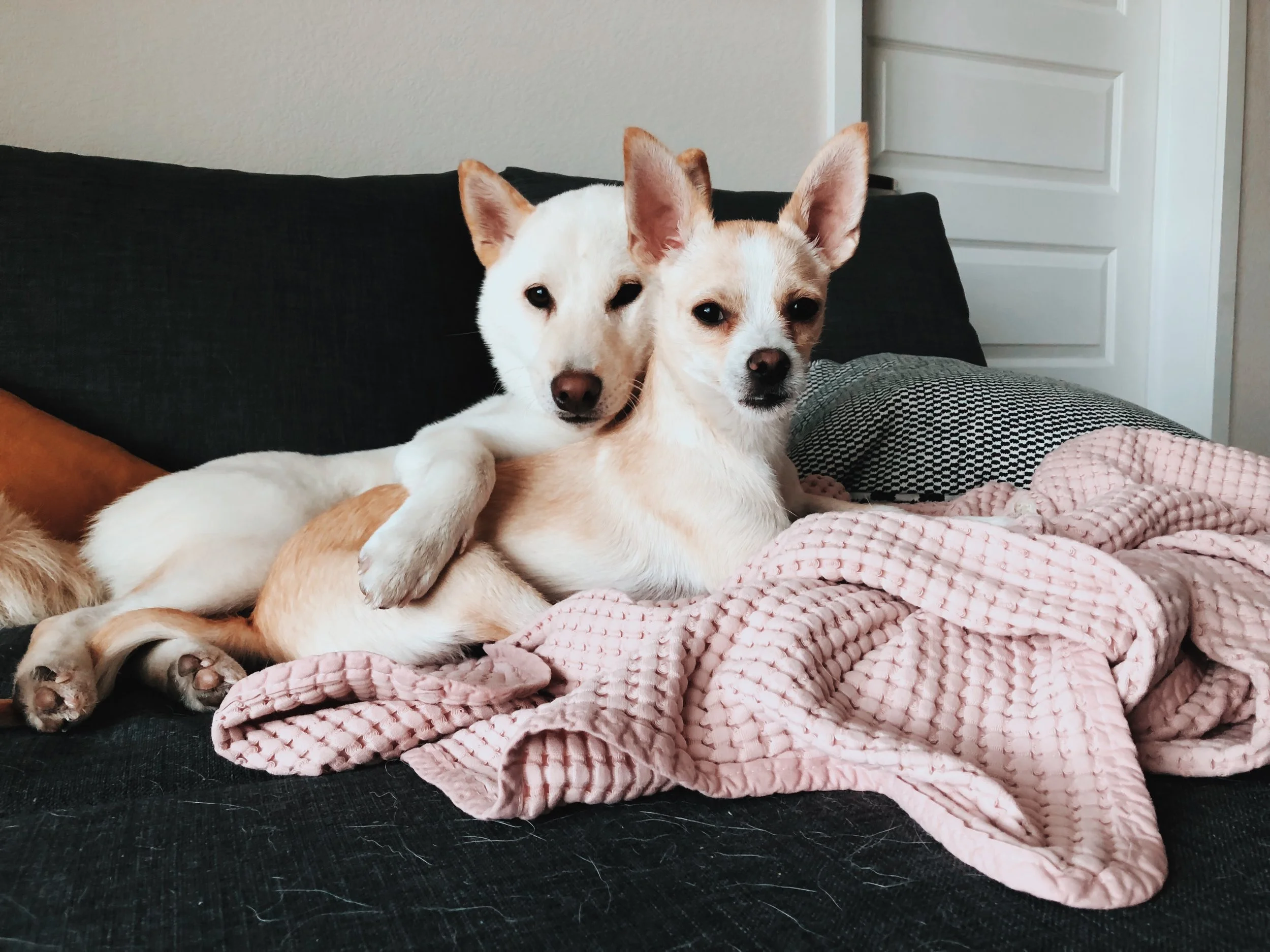 FF5C0155-780F-4449-9573-45A305D816A0 2.JPG